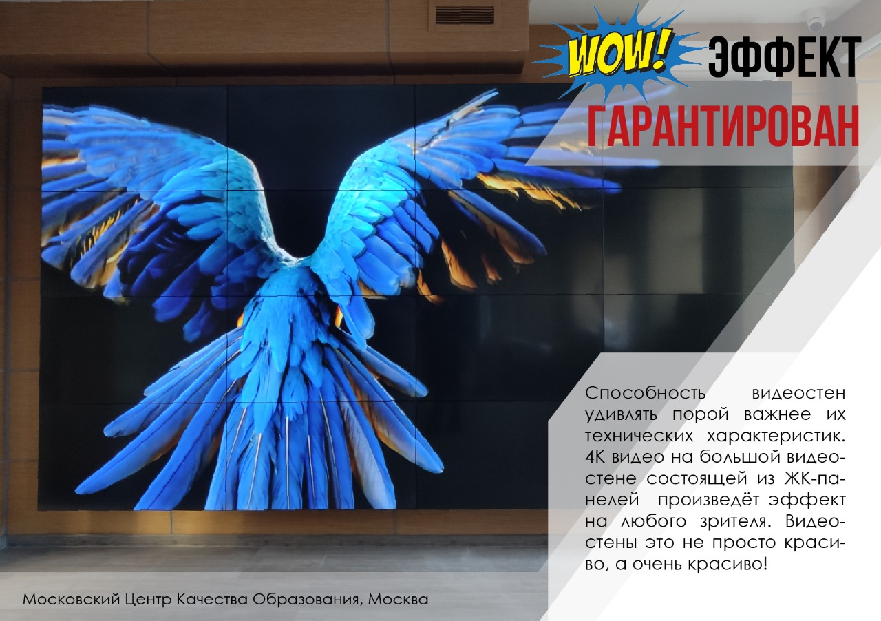 WOW-эффект гарантирован (Московский Центр Качества Образования)